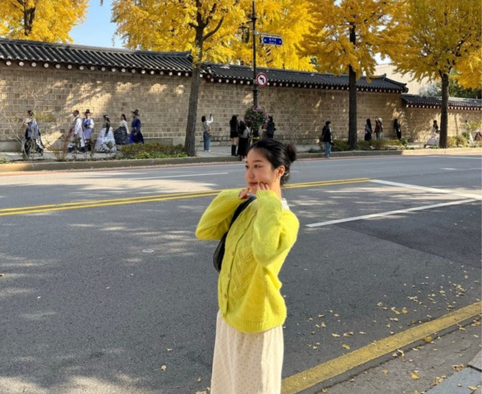 Dabin on a Seoul street lined with yellow ginkgo trees
