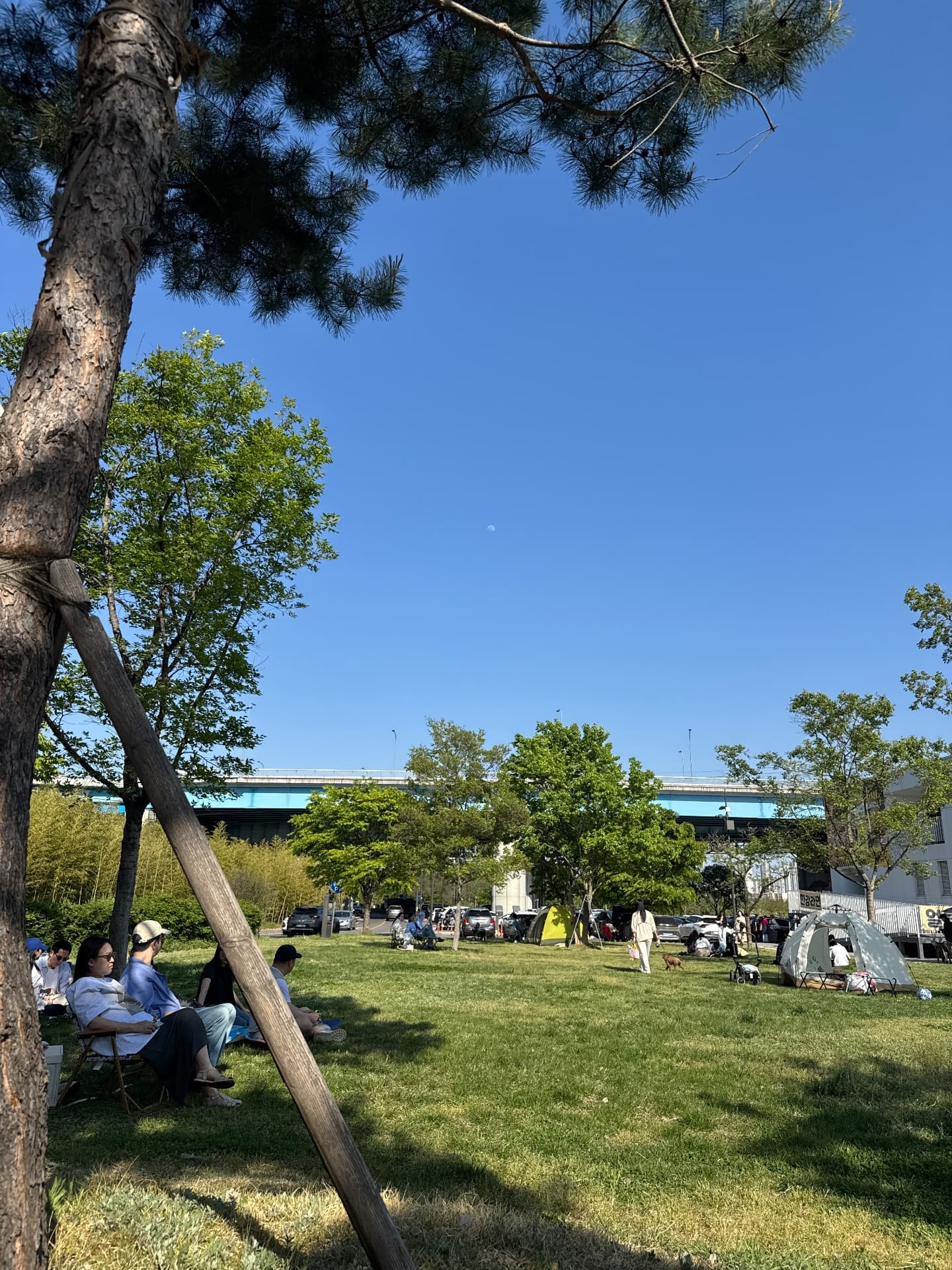 Picnic at Yeouido Hangang Park, Delivery Food & Shopping at The Hyundai Seoul
