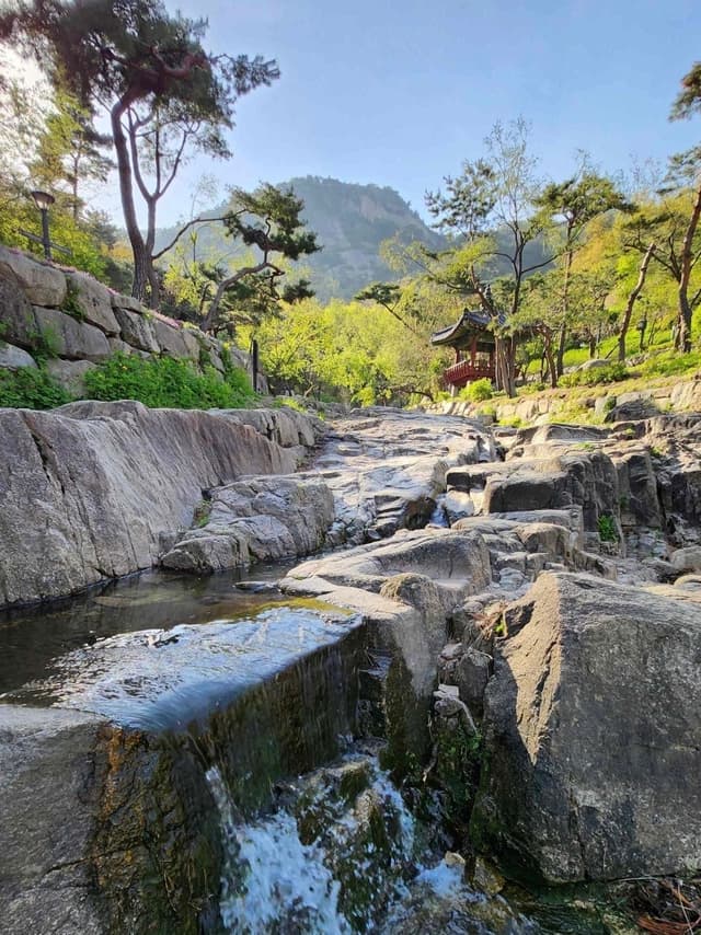 A Summer Wellness Outing in Seochon