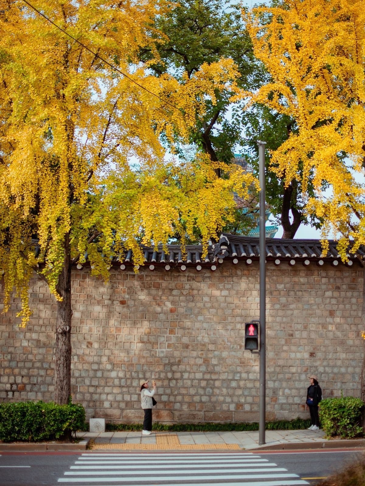 A Summer Wellness Journey Through Seochon 5