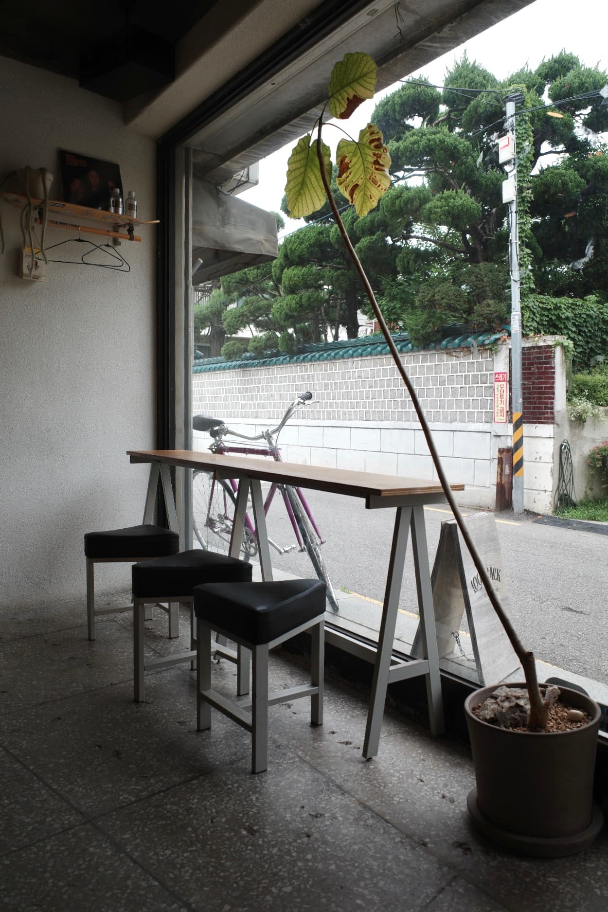 A Tasteful Day in Yeonhui-dong 5