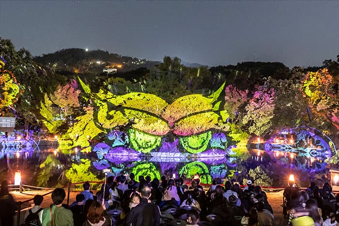 2026 Changgyeonggung Palace Waterlight Lotus Blossoms 2