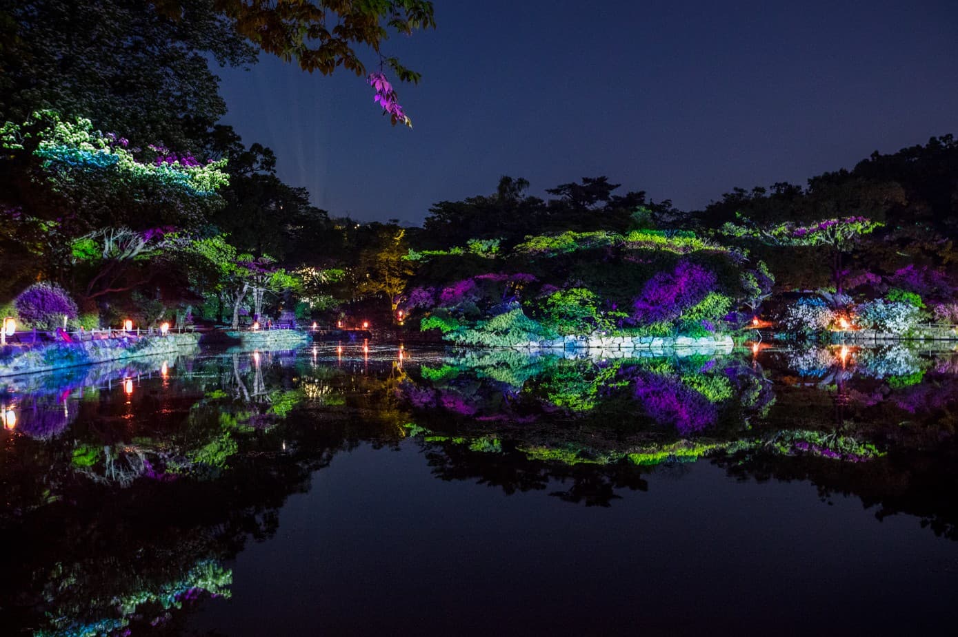 2026 Changgyeonggung Palace Waterlight Lotus Blossoms 3