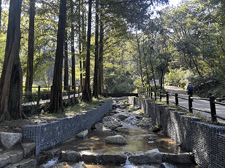 Cheonggyesan Forest Walk and Orakai Sauna