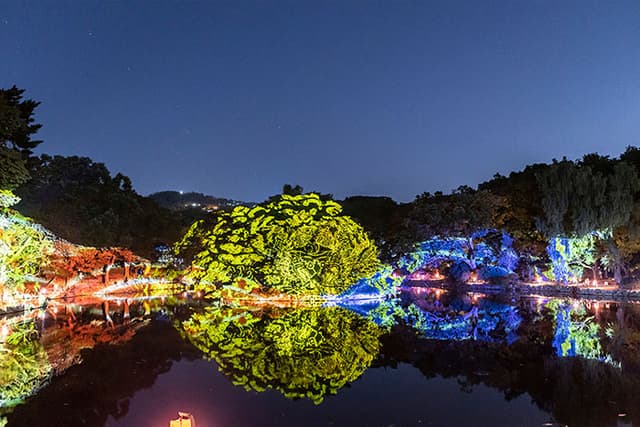 Changgyeonggung Mulbit Yeonhwa: A Palace Walk after Dark