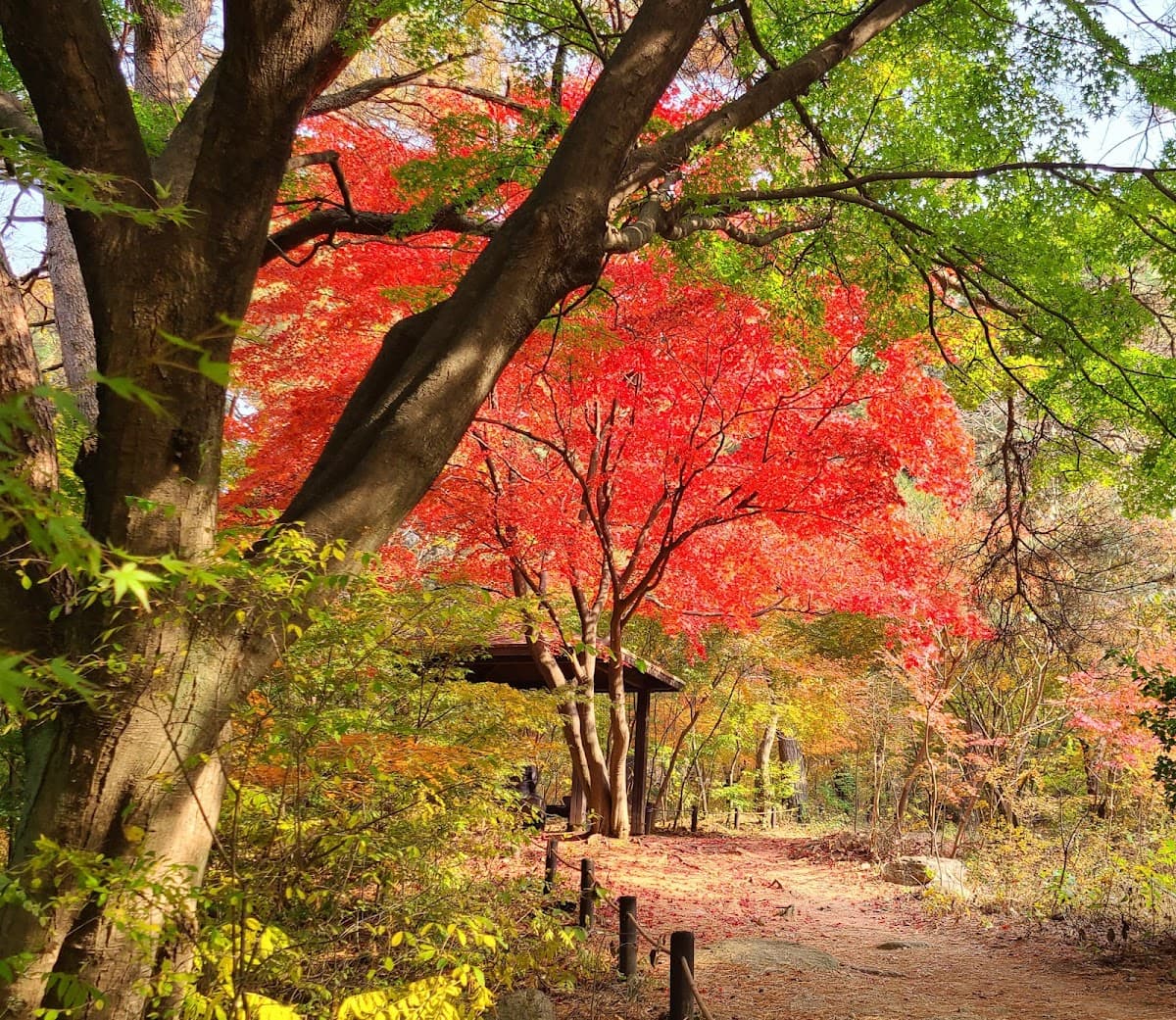 Bukhansan Hanok Village and Mountain Trail Retreat 2