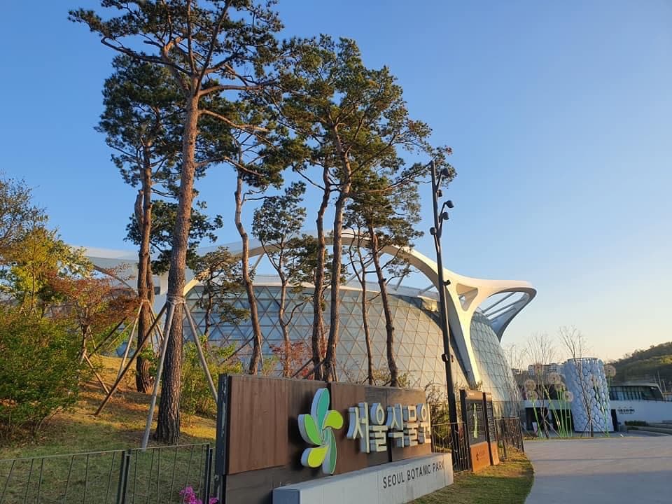 Cool Off at Seoul Botanic Park's Water Playground